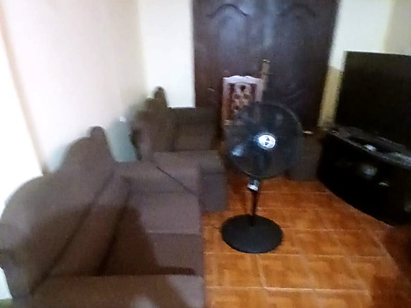 The living area with a brown sectional sofa, a standing fan and a television